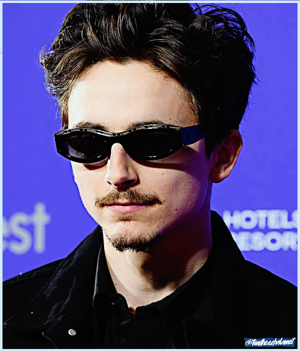 Foto de timotheechalamet