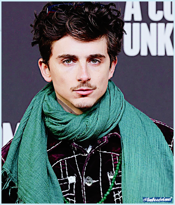 Foto de timotheechalamet