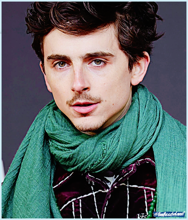 Foto de timotheechalamet