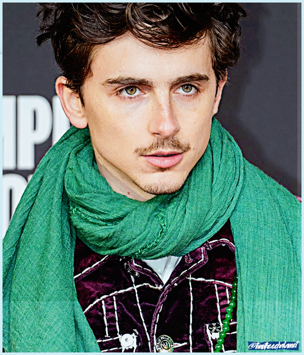 Foto de timotheechalamet