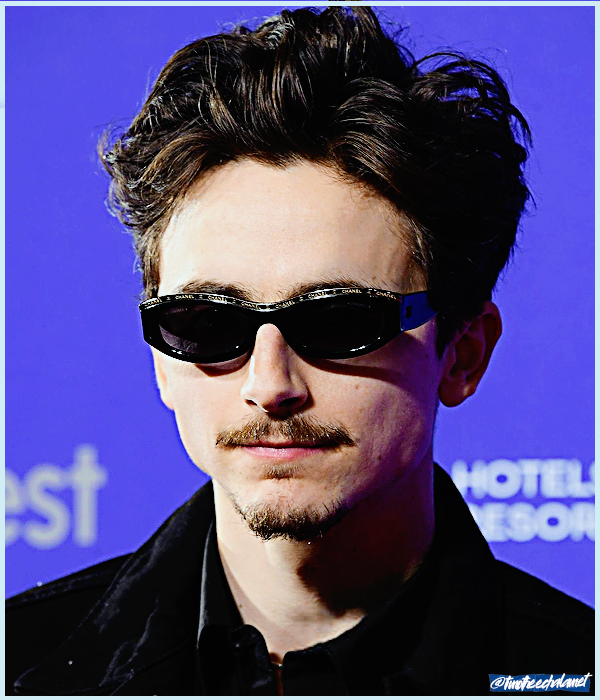 Foto de timotheechalamet