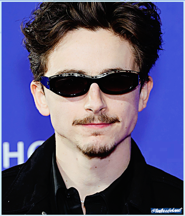 Foto de timotheechalamet