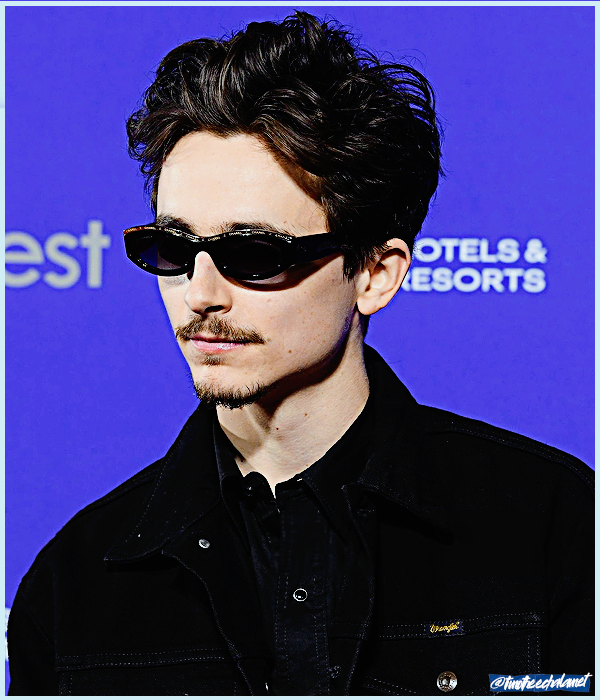 Foto de timotheechalamet