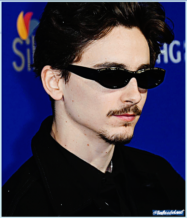 Foto de timotheechalamet