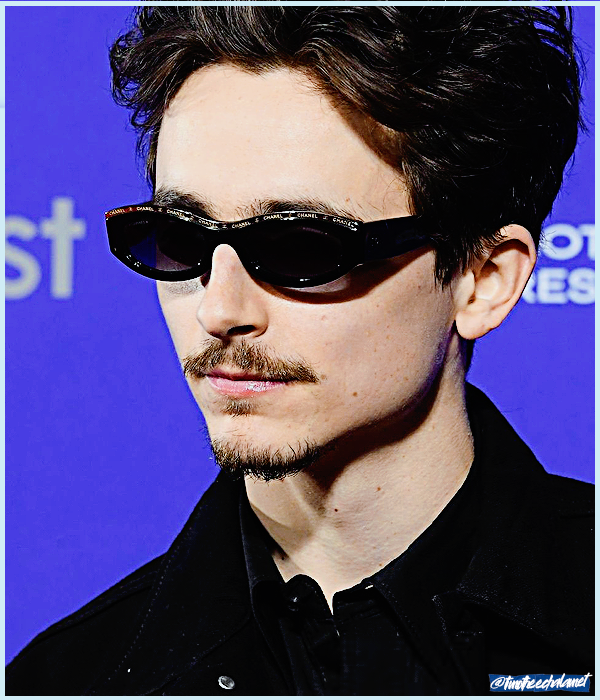 Foto de timotheechalamet