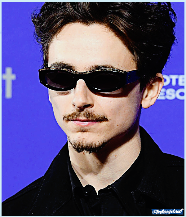 Foto de timotheechalamet