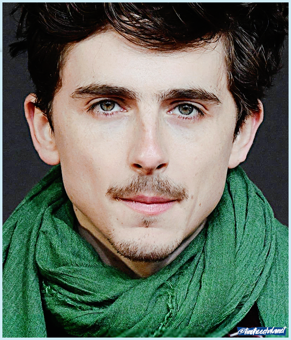 Foto de timotheechalamet