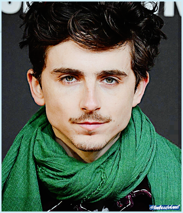 Foto de timotheechalamet