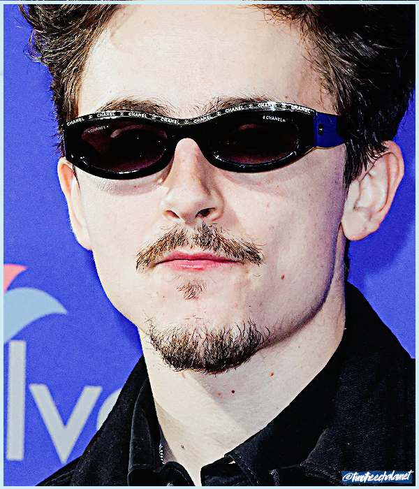 Foto de timotheechalamet