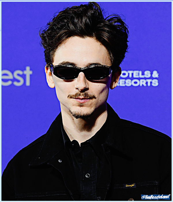 Foto de timotheechalamet