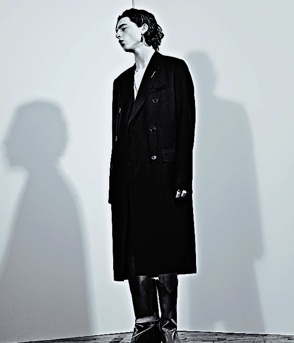 Foto de timotheechalamet