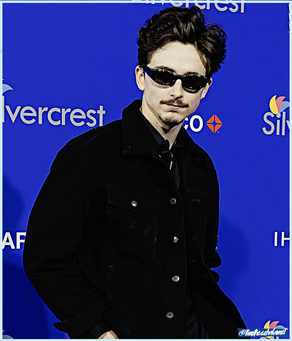 Foto de timotheechalamet