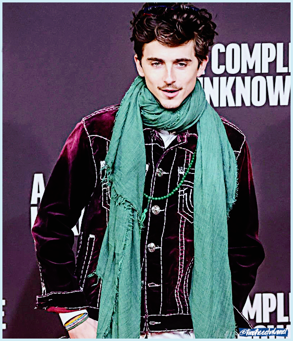 Foto de timotheechalamet