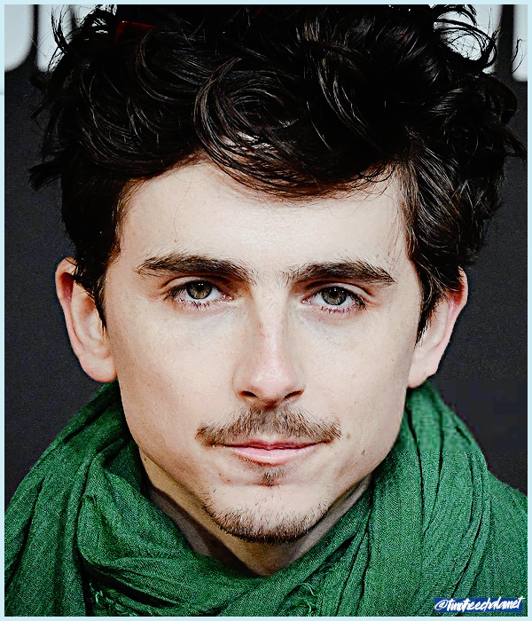 Foto de timotheechalamet