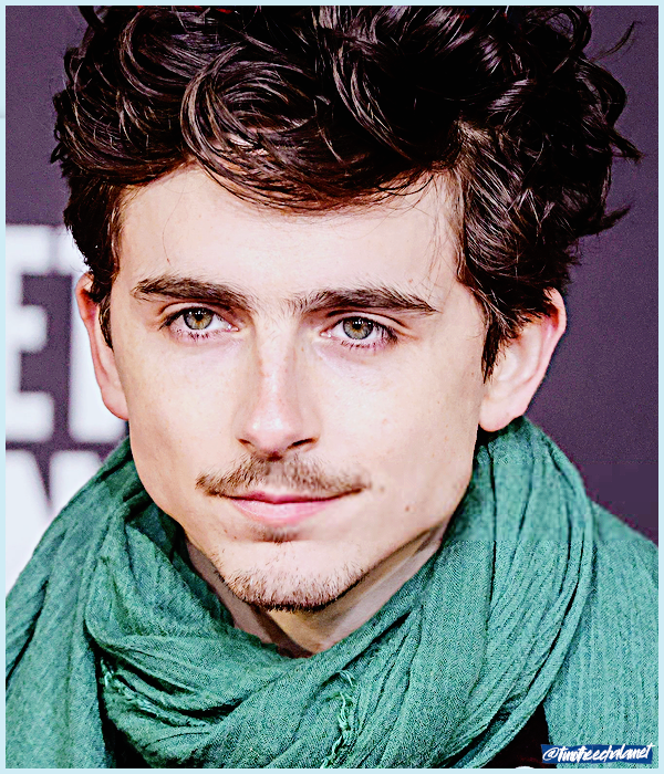 Foto de timotheechalamet