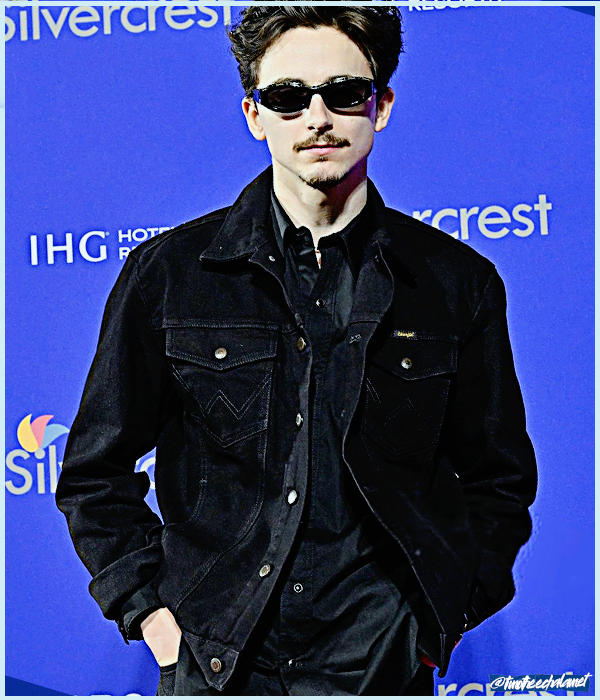 Foto de timotheechalamet