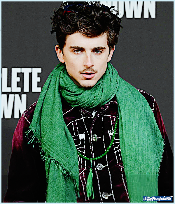 Foto de timotheechalamet