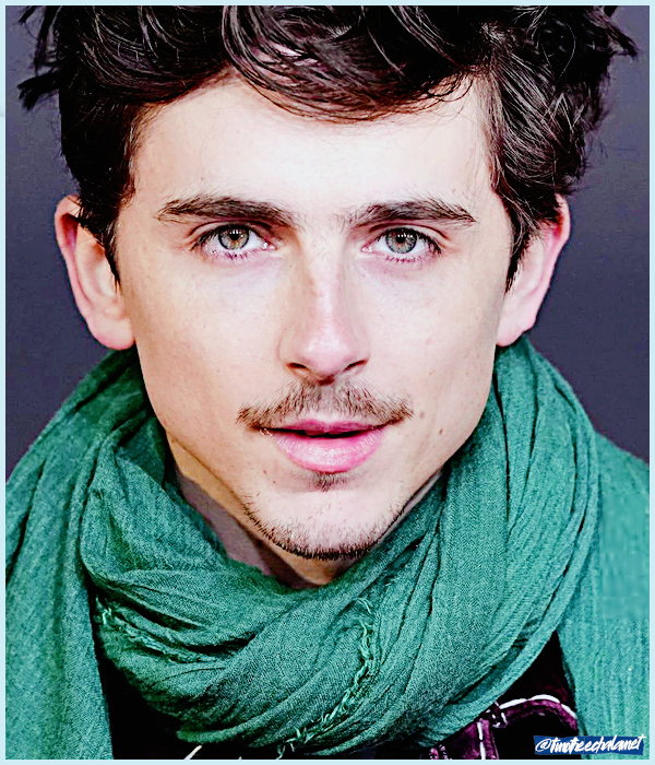 Foto de timotheechalamet