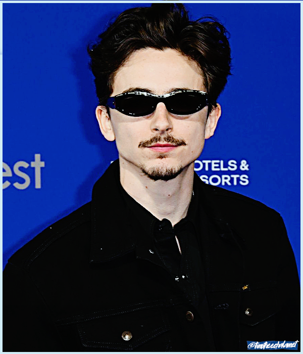 Foto de timotheechalamet