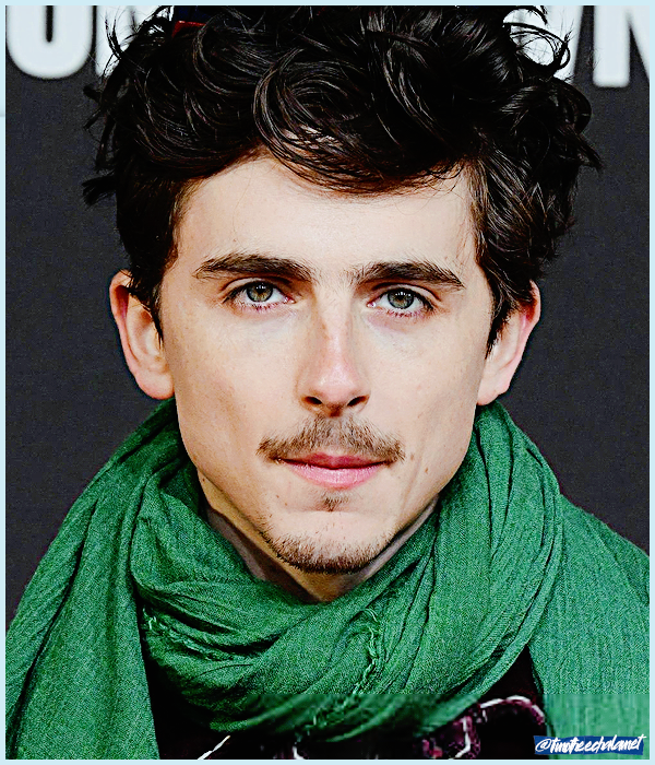 Foto de timotheechalamet