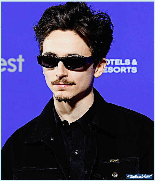 Foto de timotheechalamet