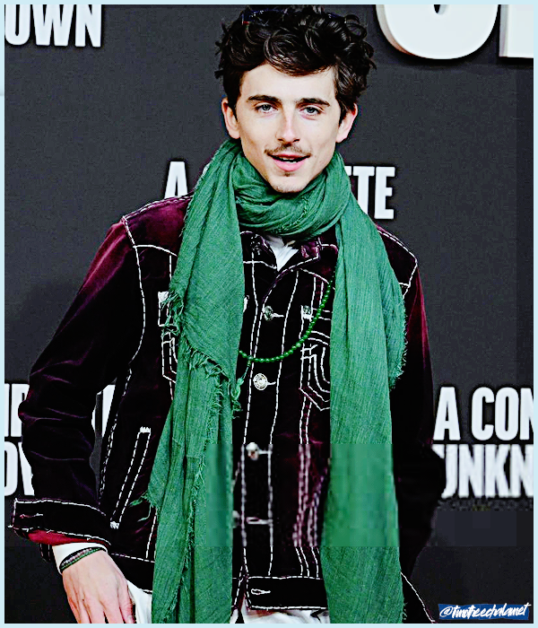 Foto de timotheechalamet