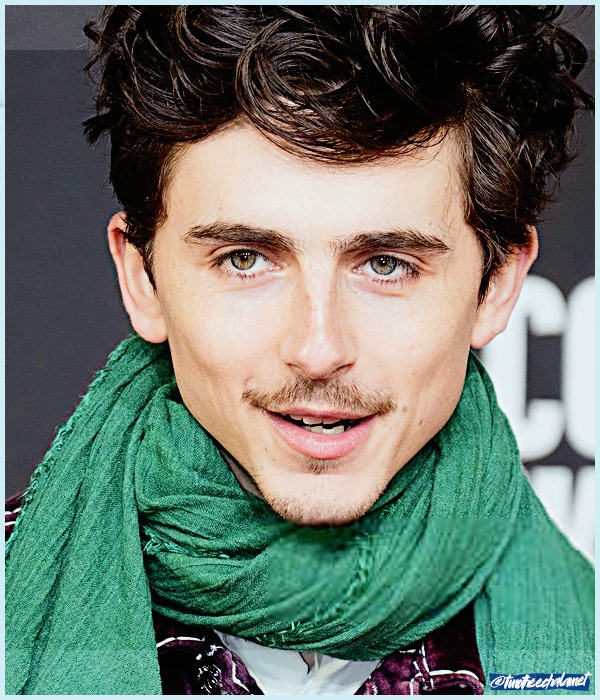 Foto de timotheechalamet