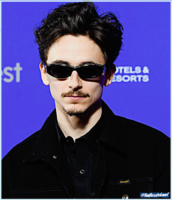 Foto de timotheechalamet