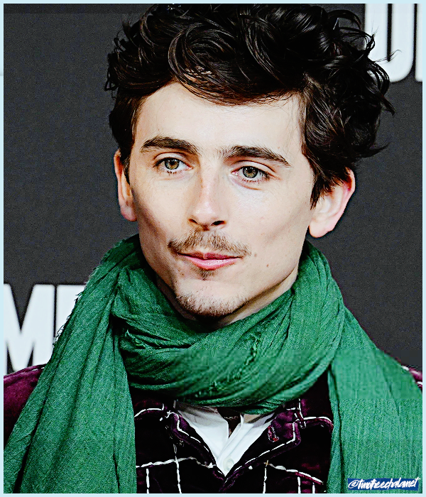 Foto de timotheechalamet