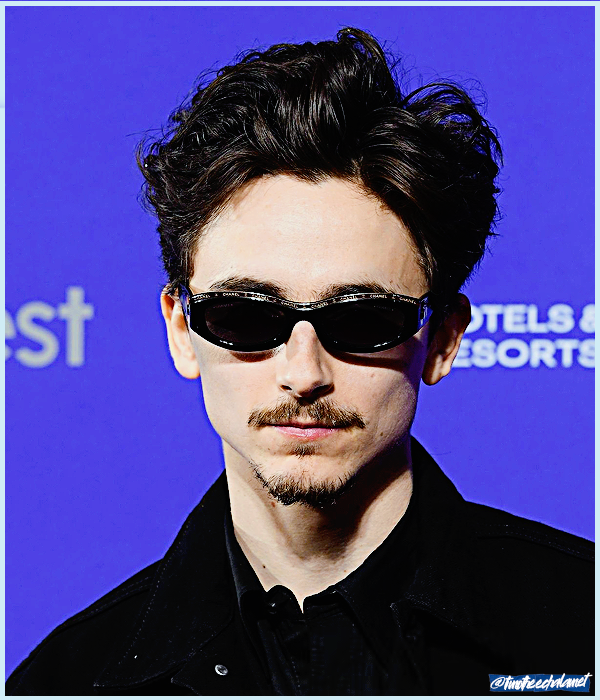 Foto de timotheechalamet