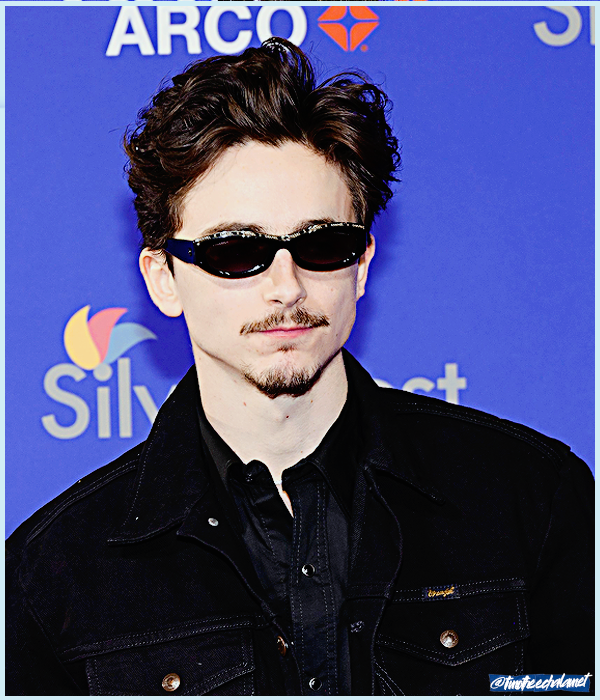 Foto de timotheechalamet