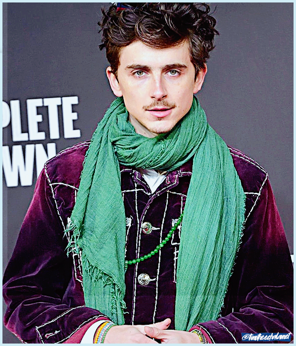 Foto de timotheechalamet