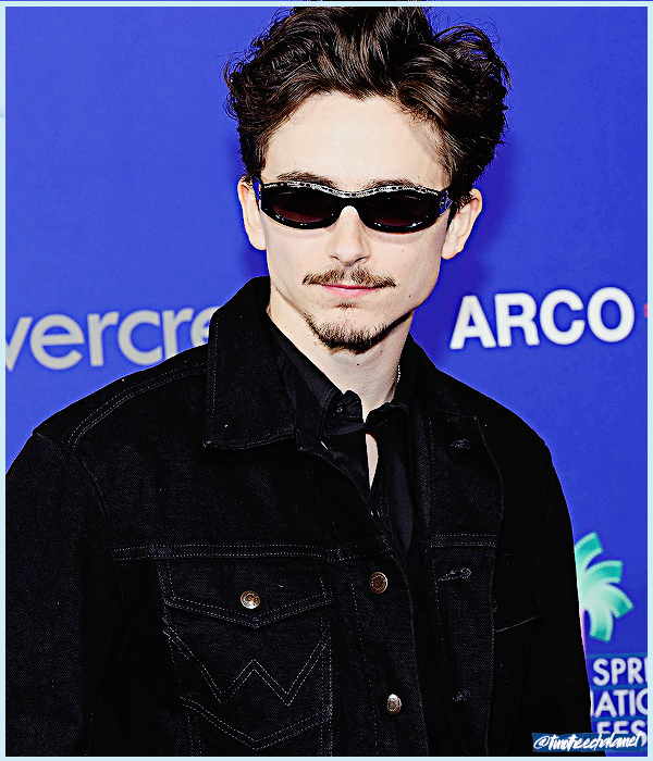 Foto de timotheechalamet