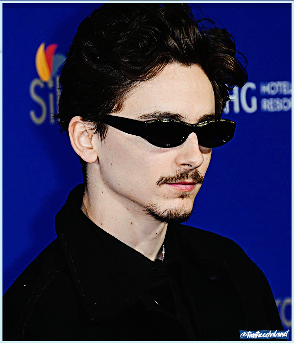 Foto de timotheechalamet