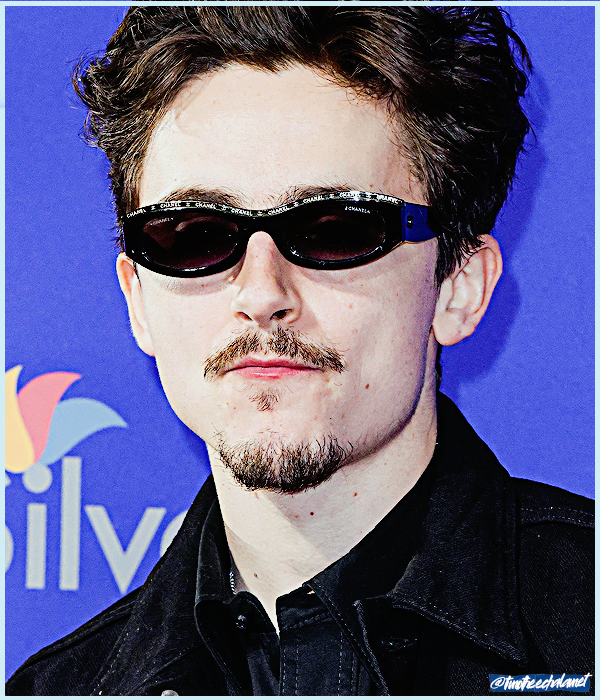 Foto de timotheechalamet