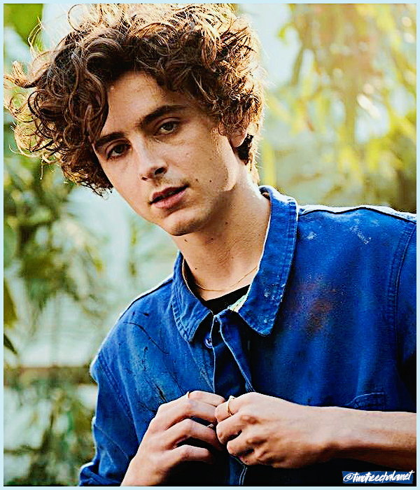 Foto de timotheechalamet