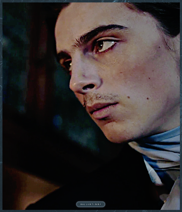 Foto de timotheechalamet