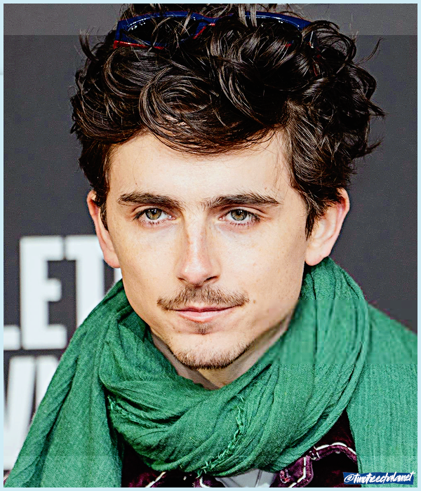 Foto de timotheechalamet