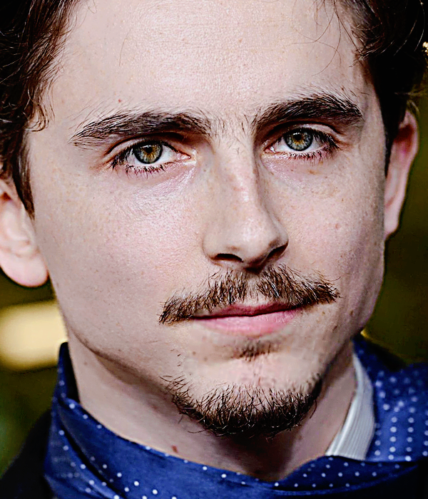 Foto de timotheechalamet