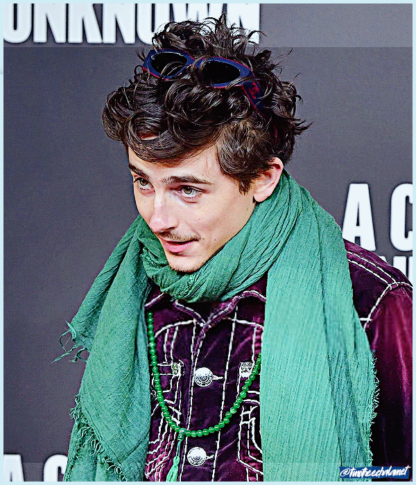 Foto de timotheechalamet