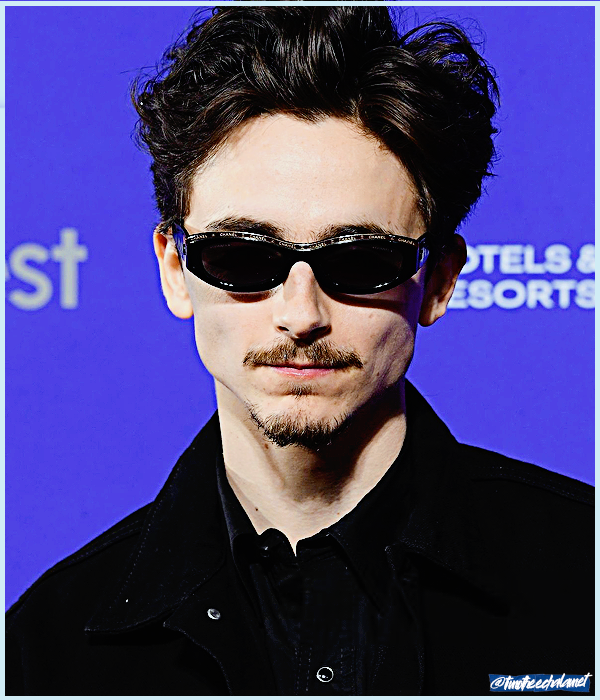 Foto de timotheechalamet