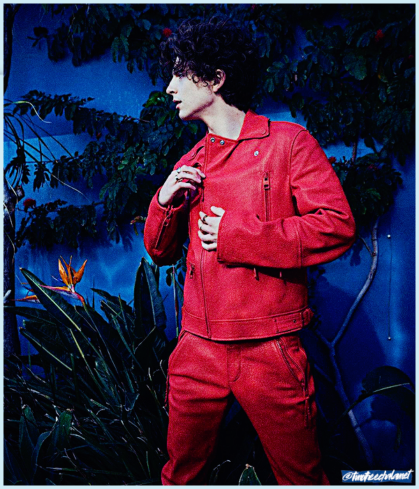 Foto de timotheechalamet