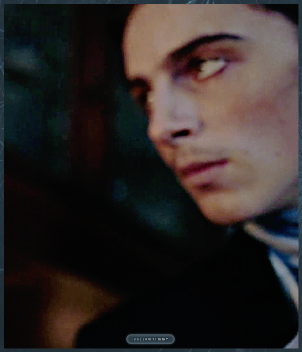 Foto de timotheechalamet