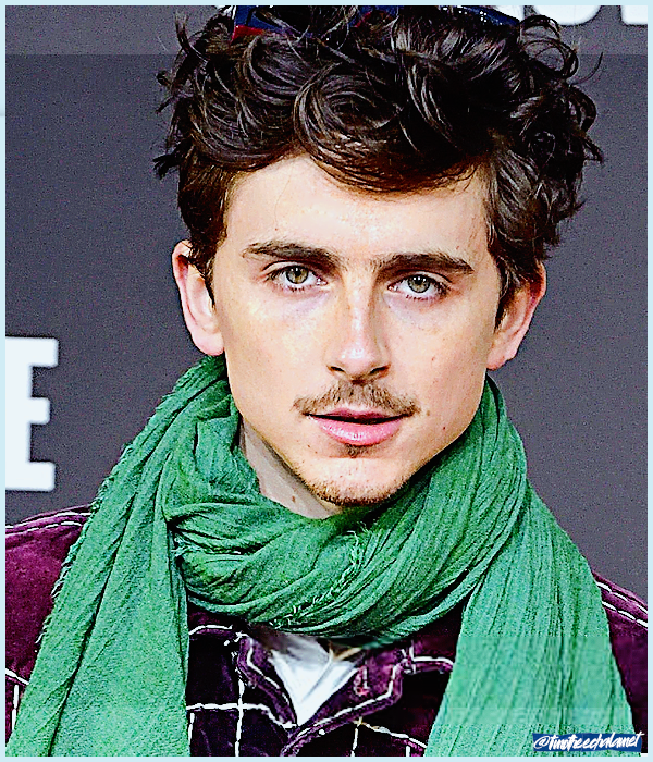 Foto de timotheechalamet