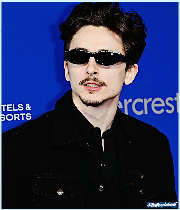 Foto de timotheechalamet