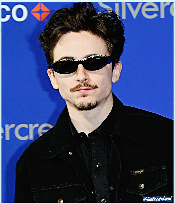 Foto de timotheechalamet