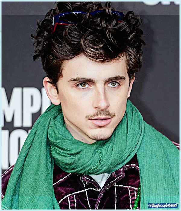 Foto de timotheechalamet