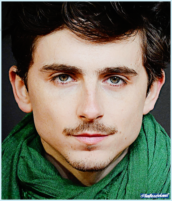 Foto de timotheechalamet