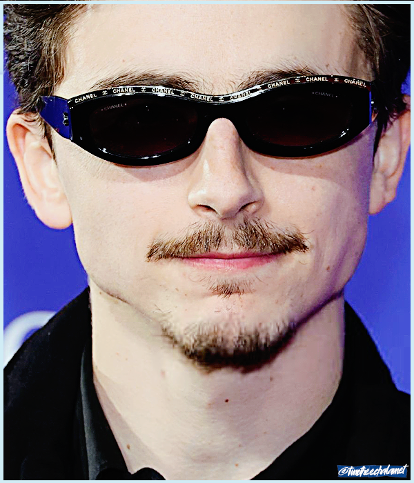 Foto de timotheechalamet