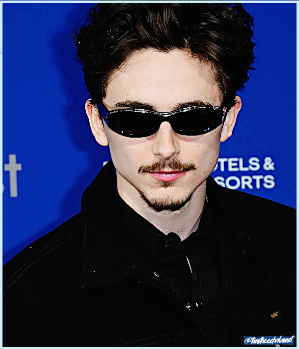 Foto de timotheechalamet